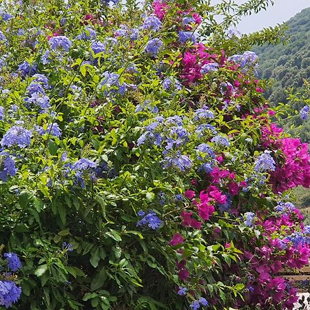 La Villa Guidi Pila-Canale Dış mekan fotoğraf