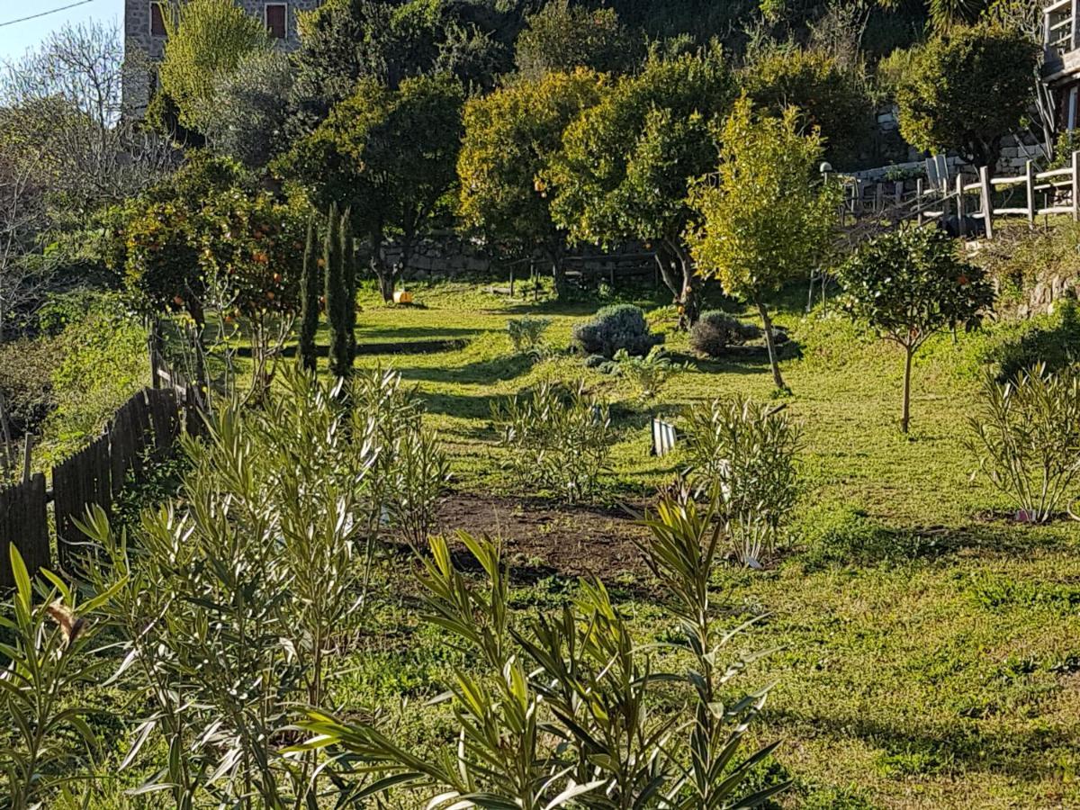 La Villa Guidi Pila-Canale Dış mekan fotoğraf