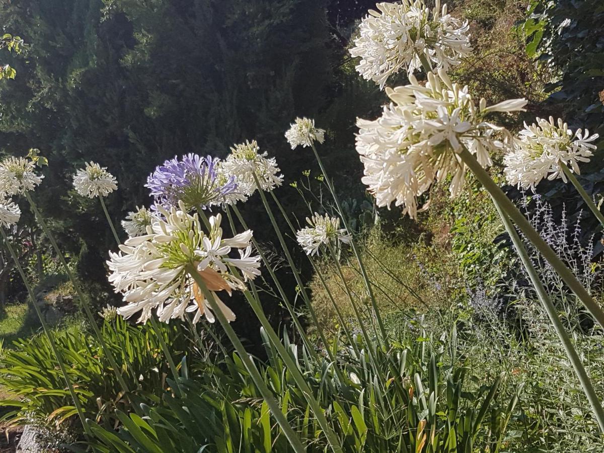 La Villa Guidi Pila-Canale Dış mekan fotoğraf