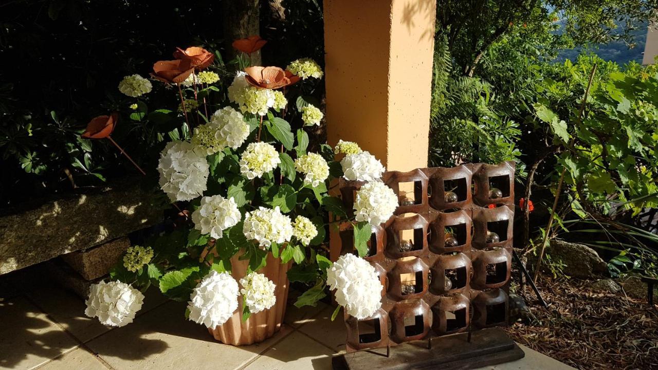La Villa Guidi Pila-Canale Dış mekan fotoğraf