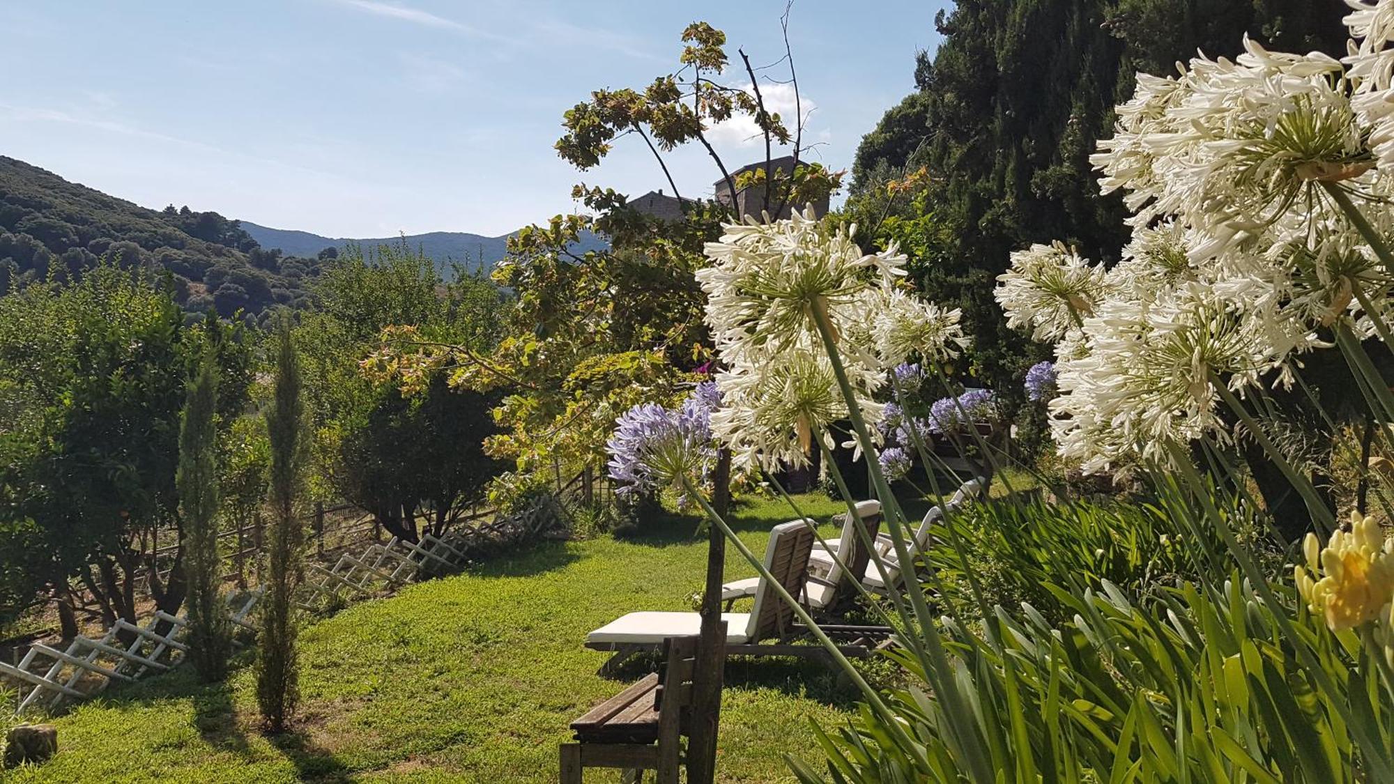 La Villa Guidi Pila-Canale Dış mekan fotoğraf