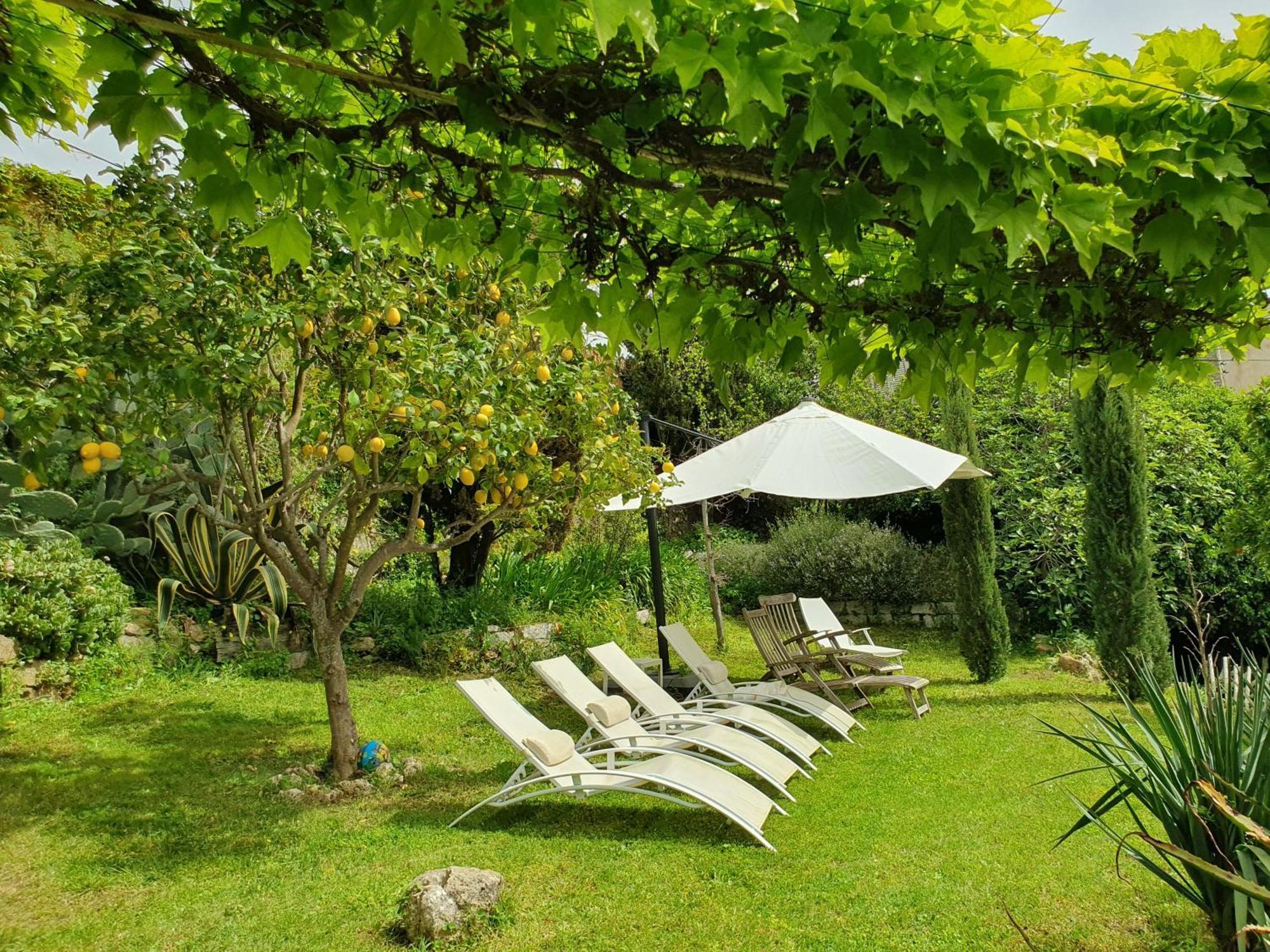 La Villa Guidi Pila-Canale Dış mekan fotoğraf